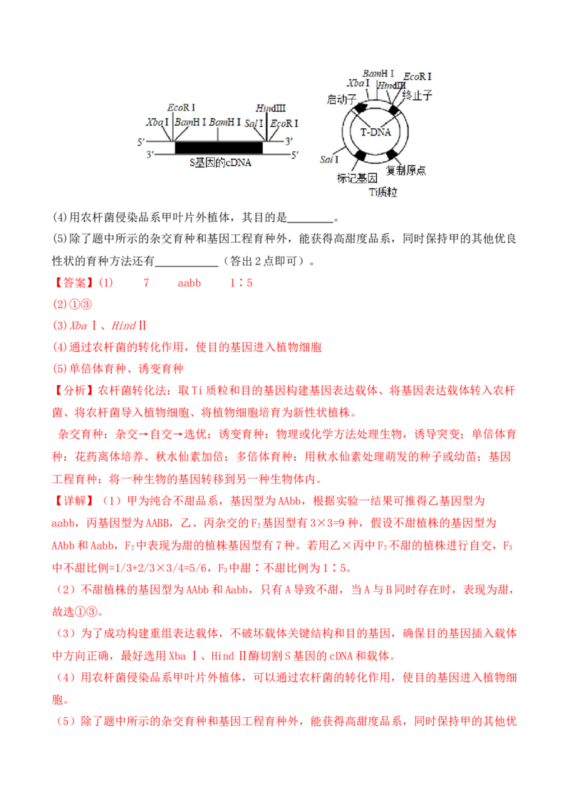 专题07遗传变异（解析版）_2024年新高考资料_2.2024二轮复习_2024年高考生物二轮热点题型归纳与变式演练（新高考通用）