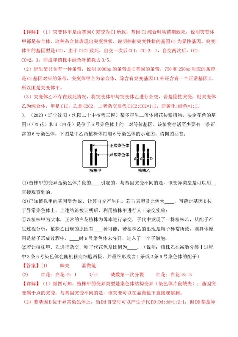 专题07遗传变异（解析版）_2024年新高考资料_2.2024二轮复习_2024年高考生物二轮热点题型归纳与变式演练（新高考通用）