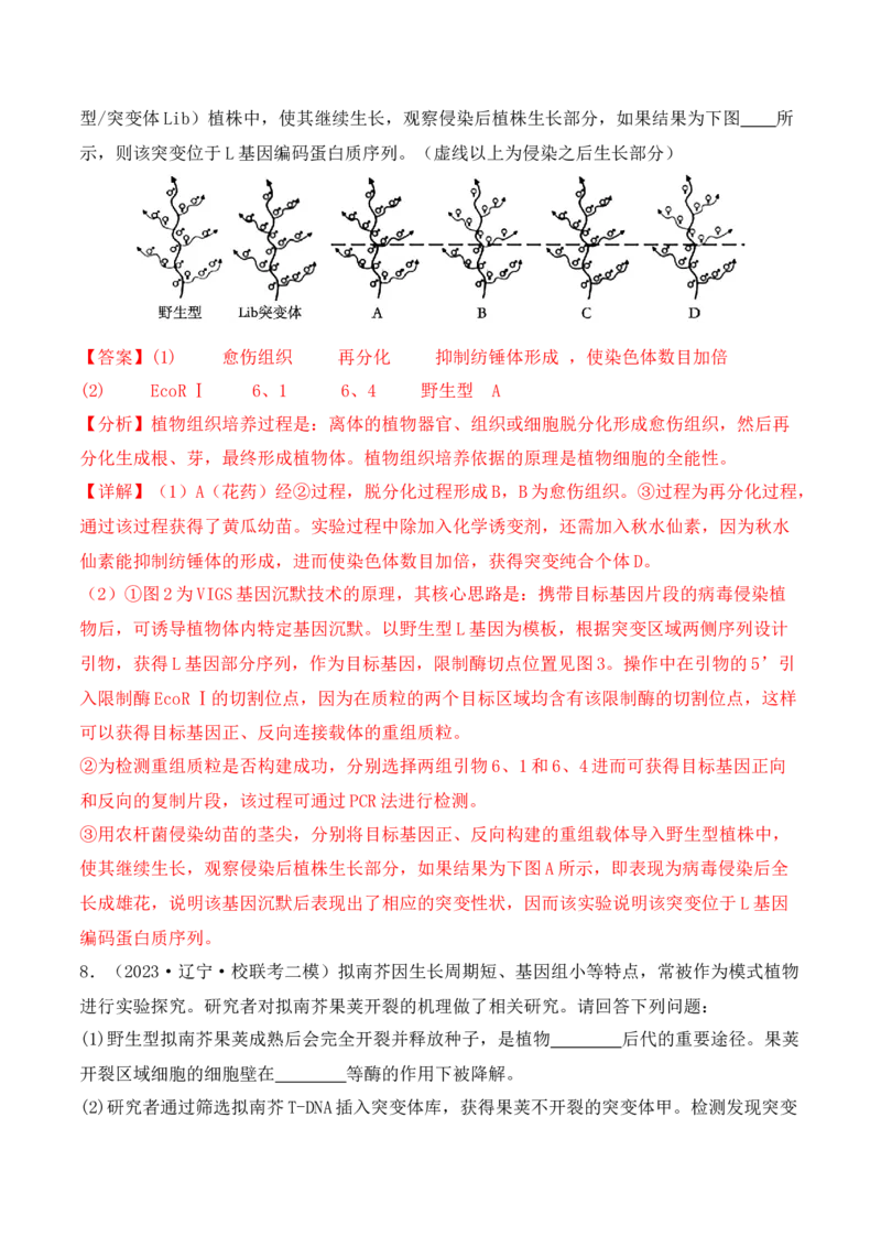 专题07遗传变异（解析版）_2024年新高考资料_2.2024二轮复习_2024年高考生物二轮热点题型归纳与变式演练（新高考通用）