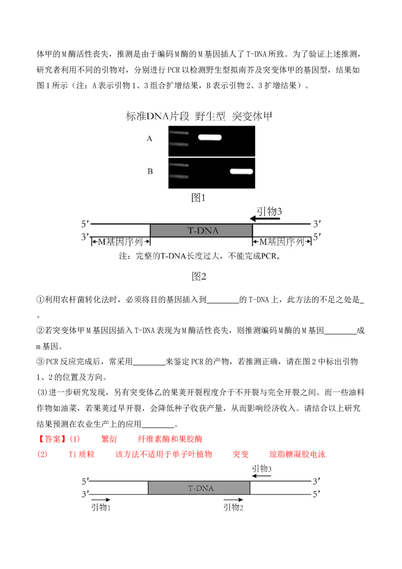 专题07遗传变异（解析版）_2024年新高考资料_2.2024二轮复习_2024年高考生物二轮热点题型归纳与变式演练（新高考通用）