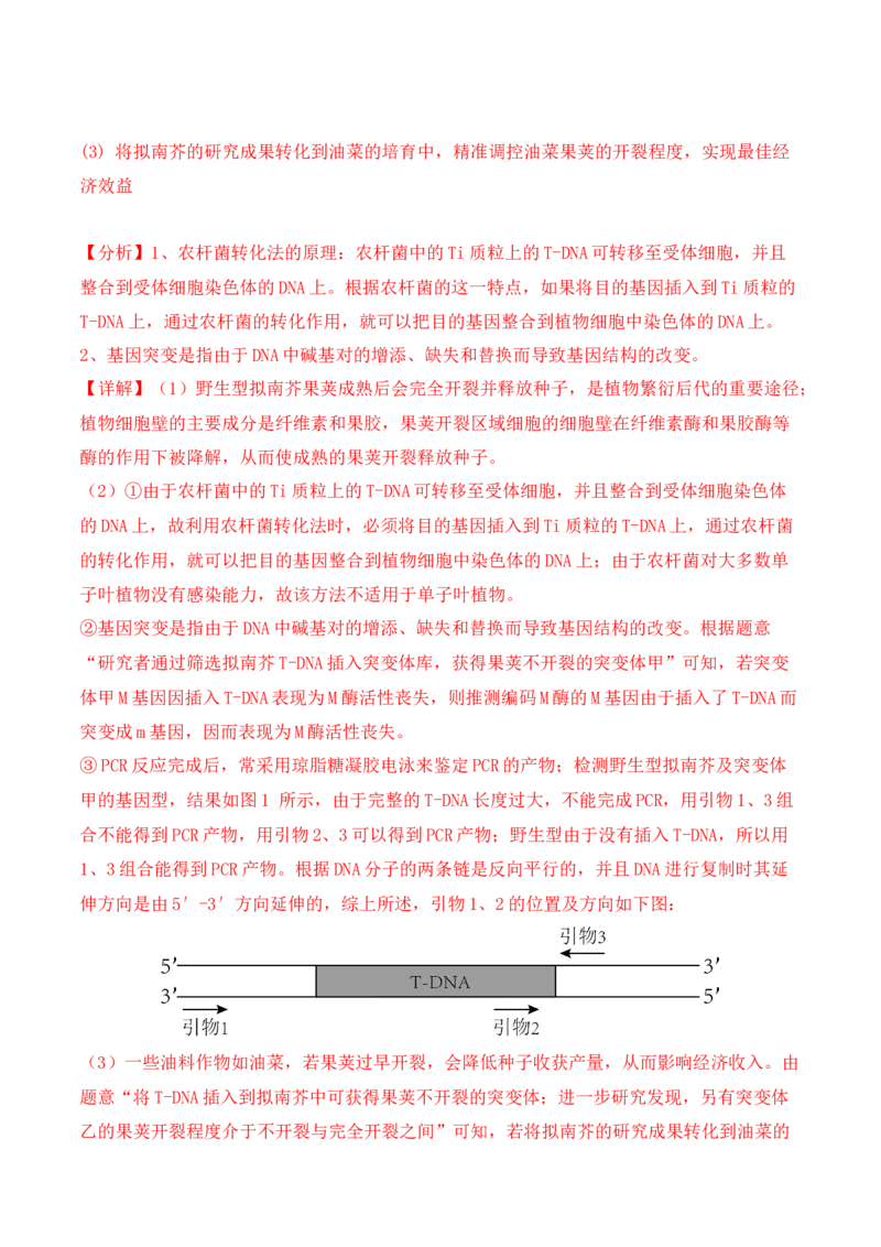 专题07遗传变异（解析版）_2024年新高考资料_2.2024二轮复习_2024年高考生物二轮热点题型归纳与变式演练（新高考通用）