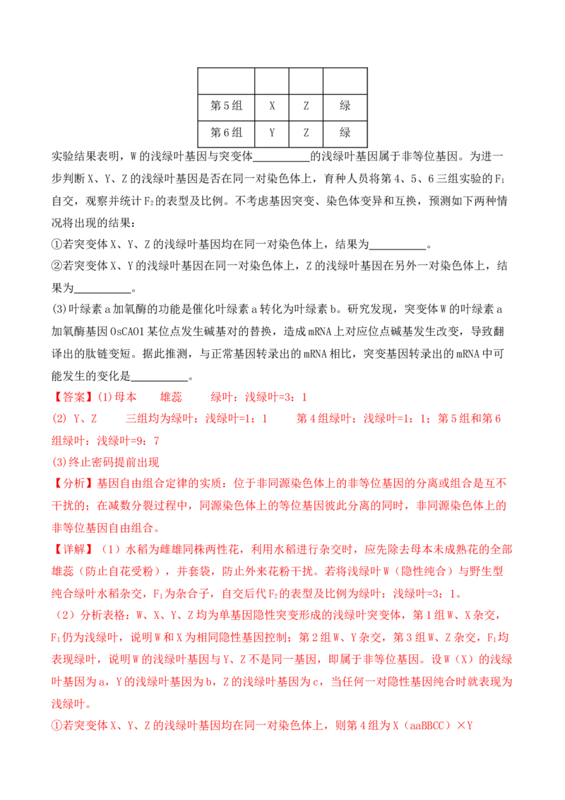 专题07遗传变异（解析版）_2024年新高考资料_2.2024二轮复习_2024年高考生物二轮热点题型归纳与变式演练（新高考通用）