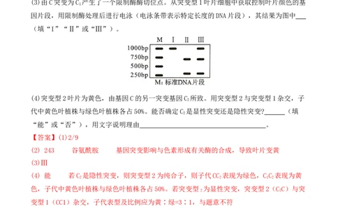 专题07遗传变异（解析版）_2024年新高考资料_2.2024二轮复习_2024年高考生物二轮热点题型归纳与变式演练（新高考通用）