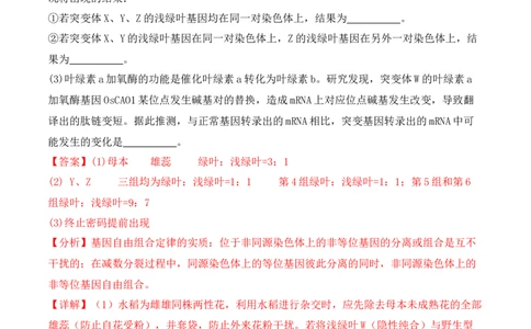 专题07遗传变异（解析版）_2024年新高考资料_2.2024二轮复习_2024年高考生物二轮热点题型归纳与变式演练（新高考通用）