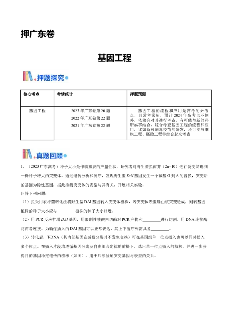 押广东卷第20题基因工程（解析版）_2024年新高考资料_5.2024三轮冲刺_备战2024年高考生物临考题号押题（广东专用）323137816