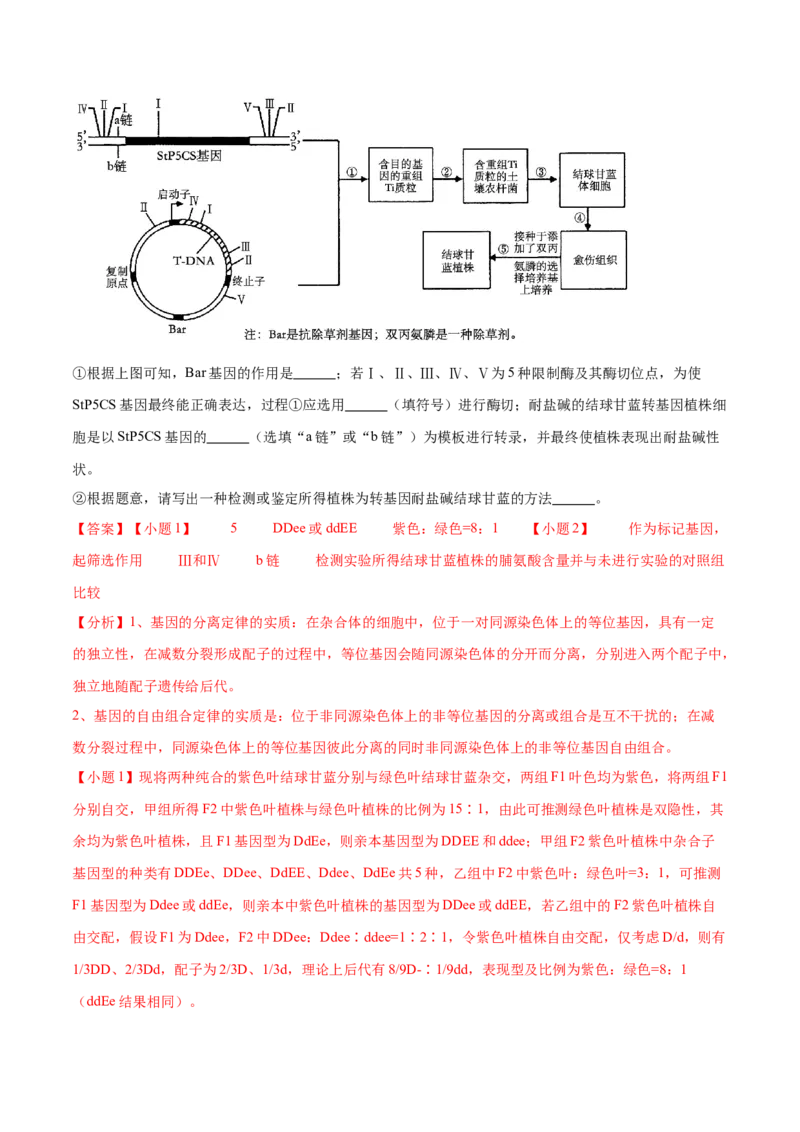 押广东卷第20题基因工程（解析版）_2024年新高考资料_5.2024三轮冲刺_备战2024年高考生物临考题号押题（广东专用）323137816