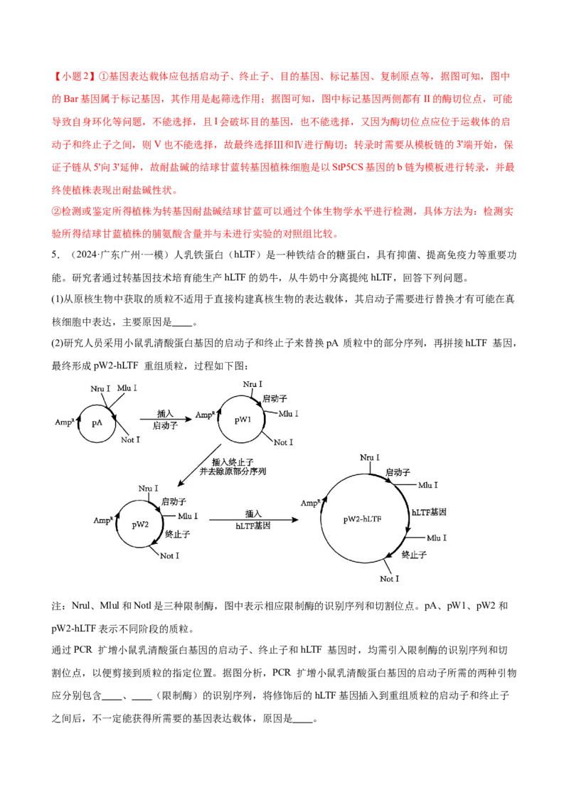 押广东卷第20题基因工程（解析版）_2024年新高考资料_5.2024三轮冲刺_备战2024年高考生物临考题号押题（广东专用）323137816