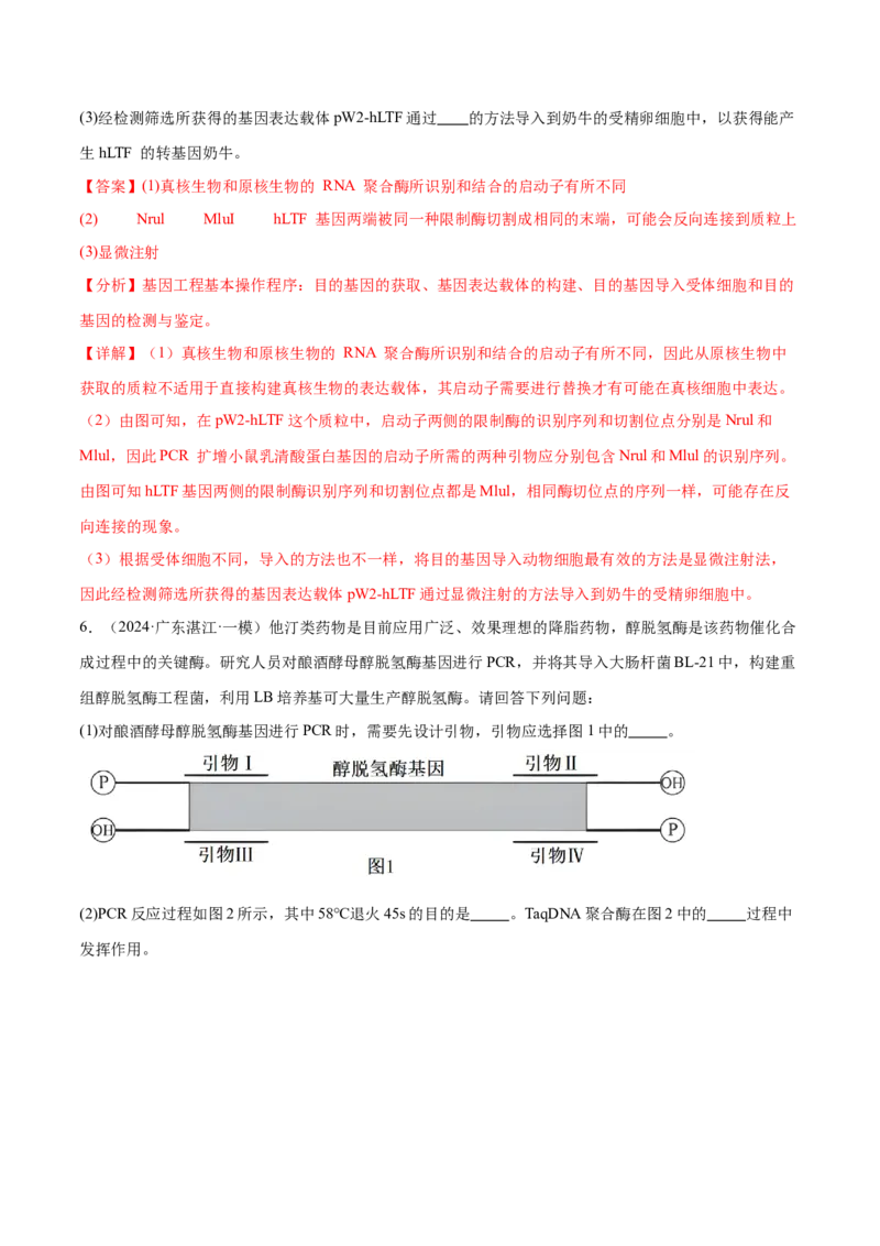押广东卷第20题基因工程（解析版）_2024年新高考资料_5.2024三轮冲刺_备战2024年高考生物临考题号押题（广东专用）323137816