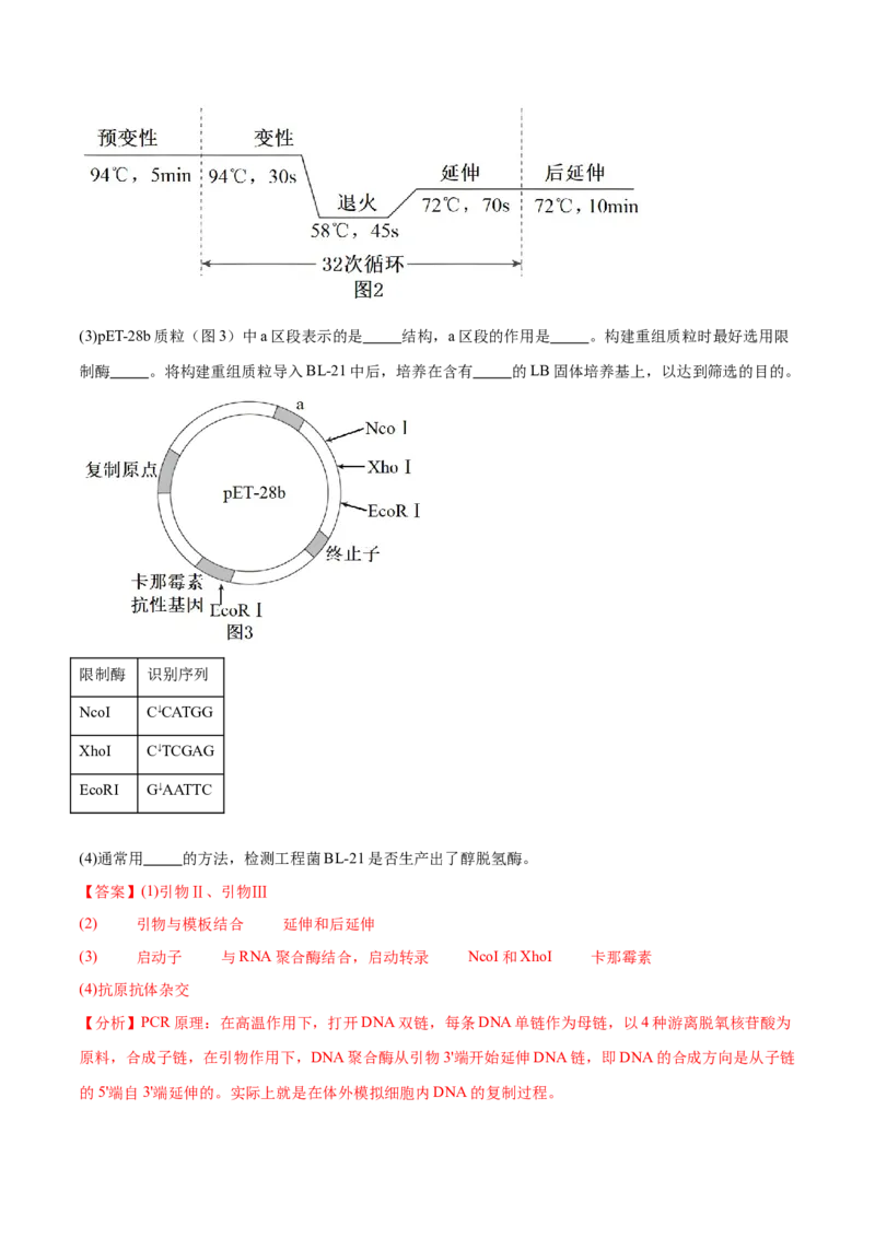 押广东卷第20题基因工程（解析版）_2024年新高考资料_5.2024三轮冲刺_备战2024年高考生物临考题号押题（广东专用）323137816