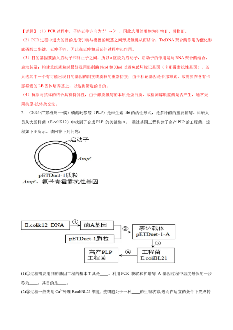 押广东卷第20题基因工程（解析版）_2024年新高考资料_5.2024三轮冲刺_备战2024年高考生物临考题号押题（广东专用）323137816