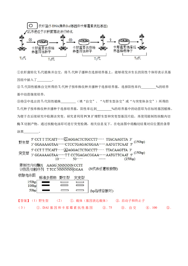押广东卷第20题基因工程（解析版）_2024年新高考资料_5.2024三轮冲刺_备战2024年高考生物临考题号押题（广东专用）323137816