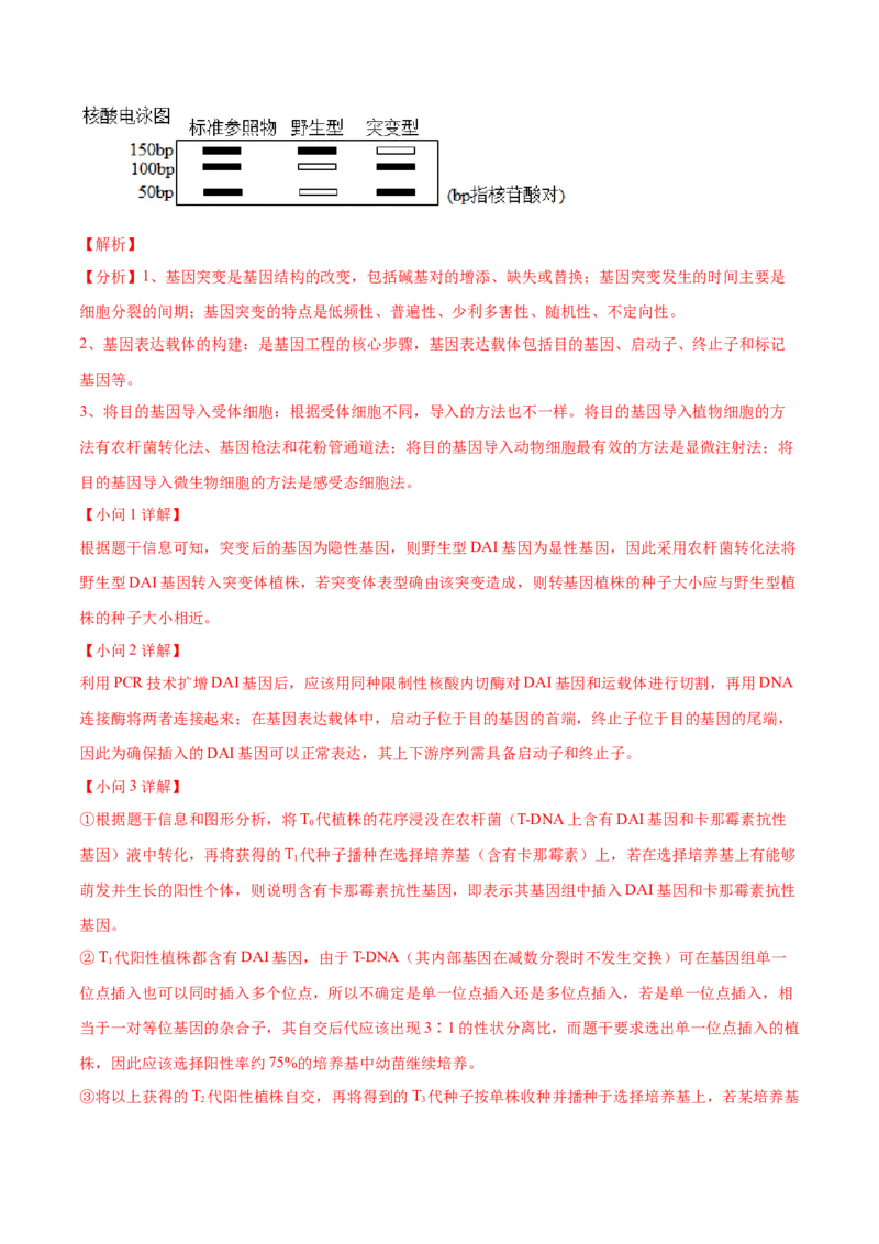 押广东卷第20题基因工程（解析版）_2024年新高考资料_5.2024三轮冲刺_备战2024年高考生物临考题号押题（广东专用）323137816