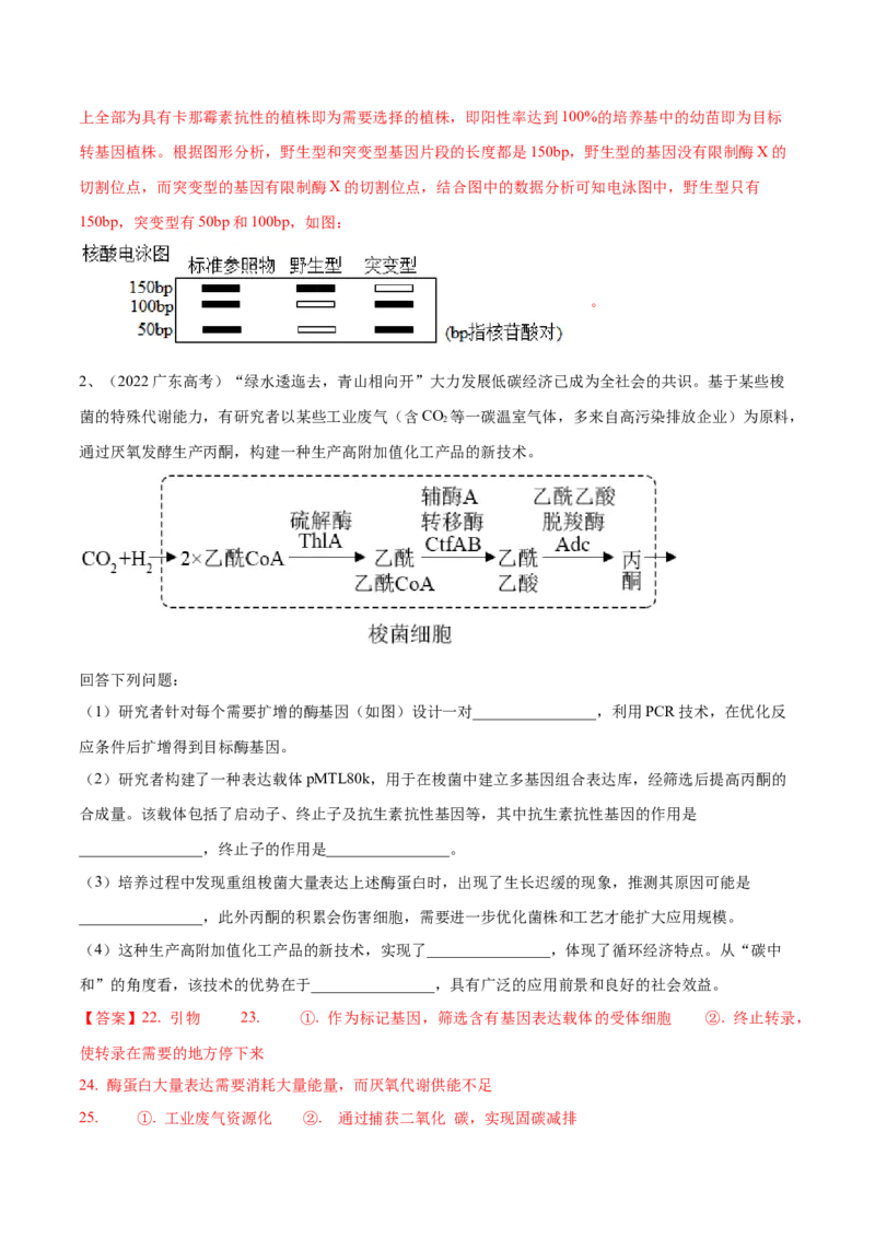 押广东卷第20题基因工程（解析版）_2024年新高考资料_5.2024三轮冲刺_备战2024年高考生物临考题号押题（广东专用）323137816