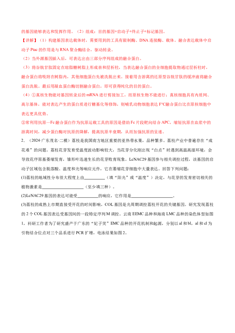 押广东卷第20题基因工程（解析版）_2024年新高考资料_5.2024三轮冲刺_备战2024年高考生物临考题号押题（广东专用）323137816