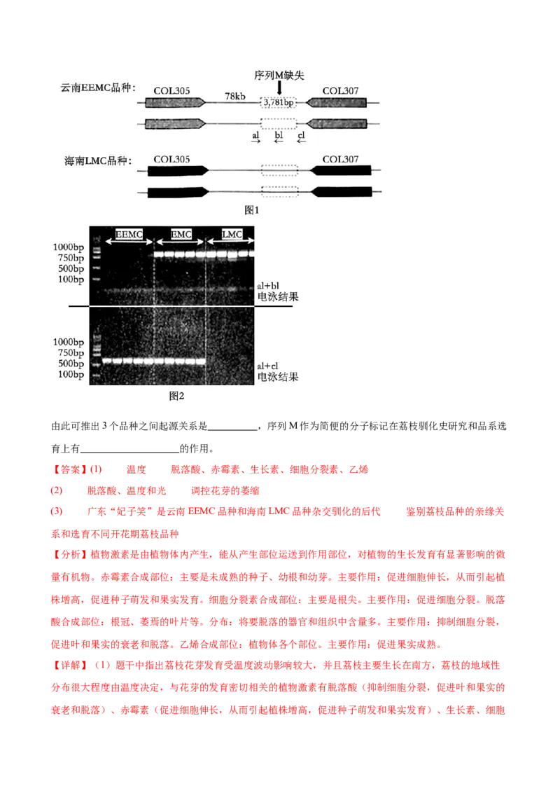 押广东卷第20题基因工程（解析版）_2024年新高考资料_5.2024三轮冲刺_备战2024年高考生物临考题号押题（广东专用）323137816