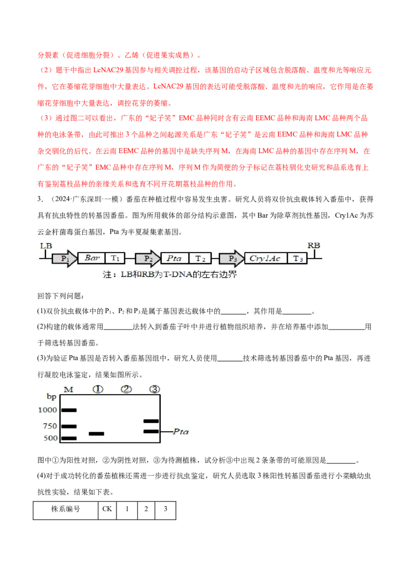 押广东卷第20题基因工程（解析版）_2024年新高考资料_5.2024三轮冲刺_备战2024年高考生物临考题号押题（广东专用）323137816