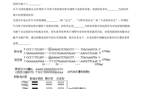 押广东卷第20题基因工程（解析版）_2024年新高考资料_5.2024三轮冲刺_备战2024年高考生物临考题号押题（广东专用）323137816