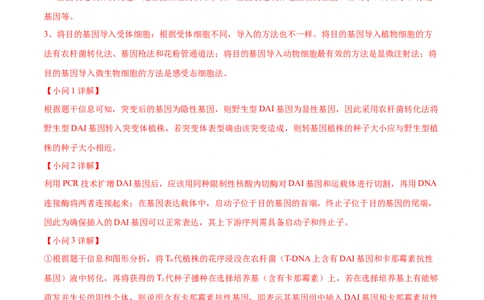 押广东卷第20题基因工程（解析版）_2024年新高考资料_5.2024三轮冲刺_备战2024年高考生物临考题号押题（广东专用）323137816