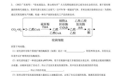 押广东卷第20题基因工程（解析版）_2024年新高考资料_5.2024三轮冲刺_备战2024年高考生物临考题号押题（广东专用）323137816