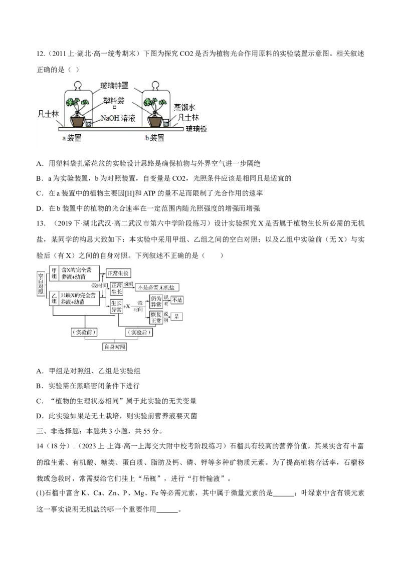 专题04实验设计类（细胞代谢）（原卷版）_2024年新高考资料_2.2024二轮复习_备战2024年高考生物实验专项突破3143686_专题04实验设计类（细胞代谢）-备战2024年高考生物实验专项突破