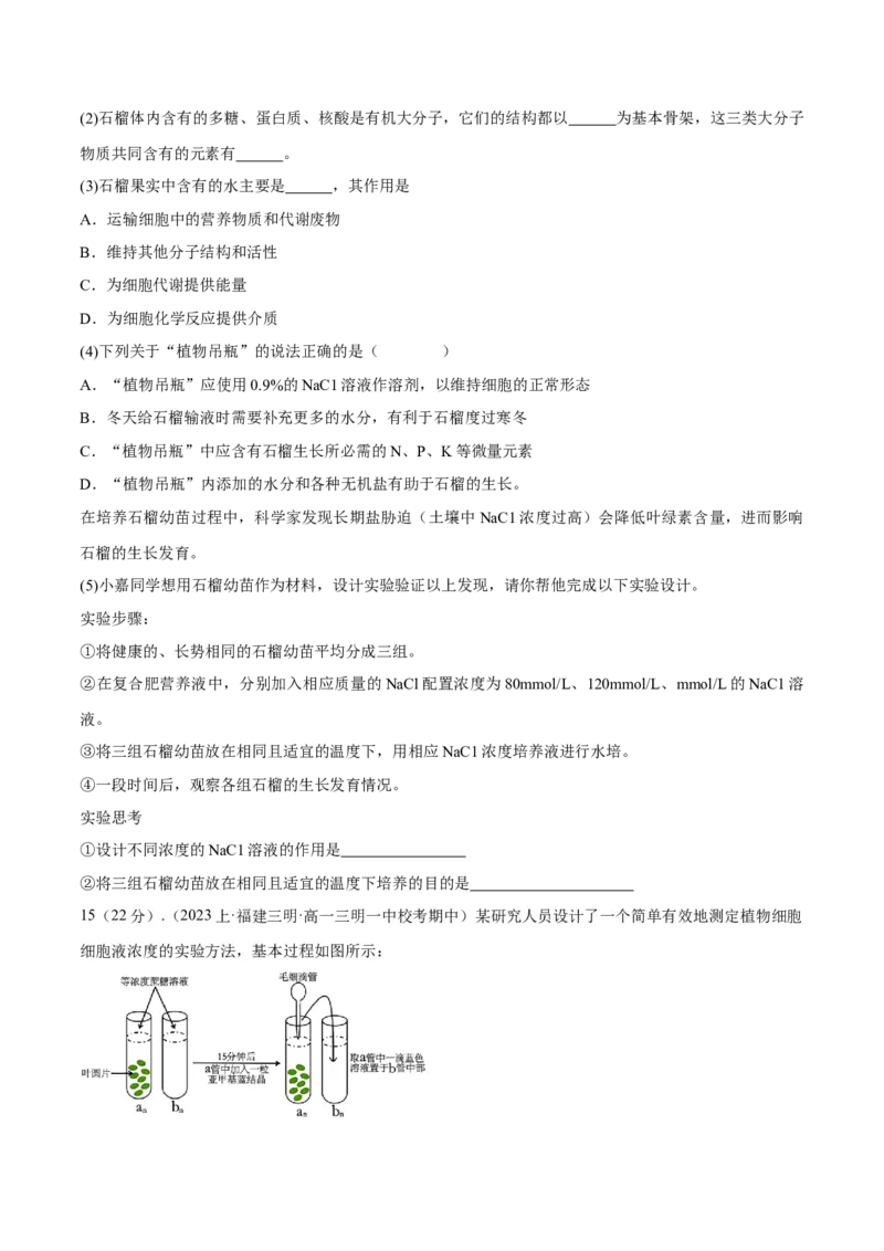 专题04实验设计类（细胞代谢）（原卷版）_2024年新高考资料_2.2024二轮复习_备战2024年高考生物实验专项突破3143686_专题04实验设计类（细胞代谢）-备战2024年高考生物实验专项突破