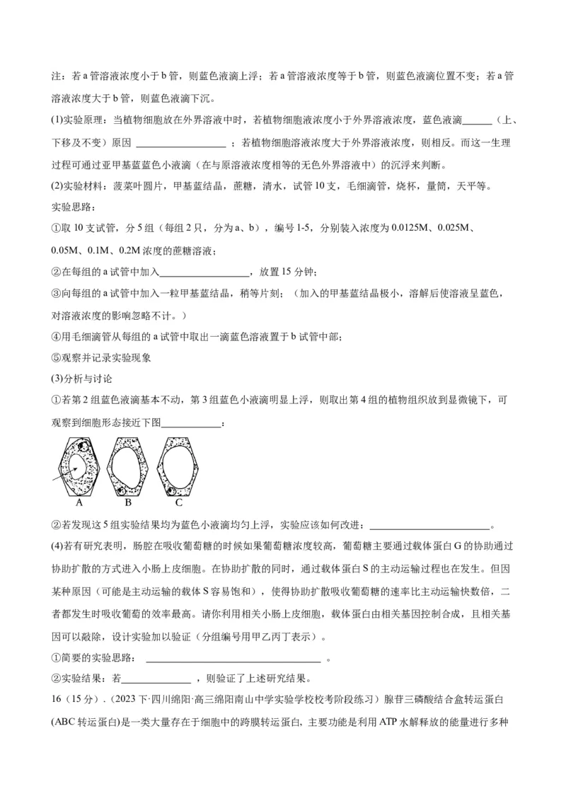 专题04实验设计类（细胞代谢）（原卷版）_2024年新高考资料_2.2024二轮复习_备战2024年高考生物实验专项突破3143686_专题04实验设计类（细胞代谢）-备战2024年高考生物实验专项突破