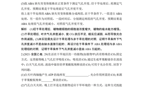 微专题3气孔与细胞代谢_2024年新高考资料_1.2024一轮复习_2024年高考生物一轮复习讲义（新人教版）_另附1套Word版题库_必修1_第三单元细胞的能量供应和利用
