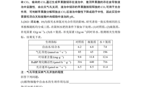 微专题3气孔与细胞代谢_2024年新高考资料_1.2024一轮复习_2024年高考生物一轮复习讲义（新人教版）_另附1套Word版题库_必修1_第三单元细胞的能量供应和利用
