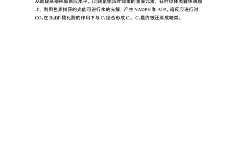 微专题3气孔与细胞代谢_2024年新高考资料_1.2024一轮复习_2024年高考生物一轮复习讲义（新人教版）_另附1套Word版题库_必修1_第三单元细胞的能量供应和利用