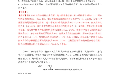 专题14基因的分离定律（精练）（解析版）_2024年新高考资料_1.2024一轮复习_备战2024年高考生物一轮复习串讲精练（新高考专用）