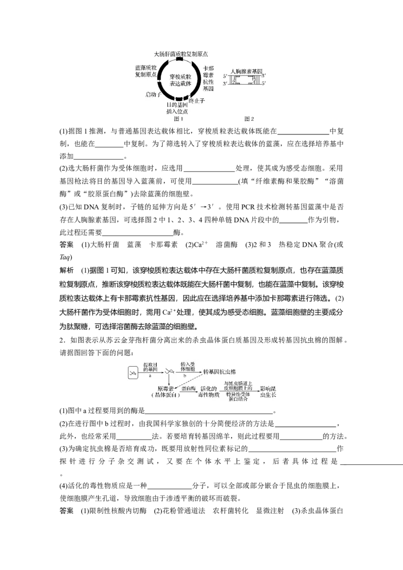 2022年高考生物一轮复习第10单元第33讲　基因工程_新高考复习资料_2022年新高考复习资料_2022年一轮复习最新版_1.2022年高考生物一轮复习全国通用版