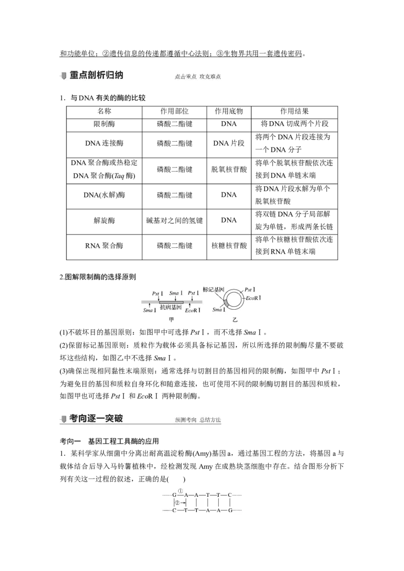 2022年高考生物一轮复习第10单元第33讲　基因工程_新高考复习资料_2022年新高考复习资料_2022年一轮复习最新版_1.2022年高考生物一轮复习全国通用版