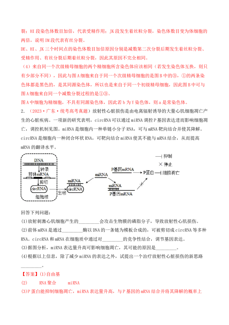 专题05细胞的生命历程（包括减数分裂）（解析版）_2024年新高考资料_3.2024专项复习_备战2024年高考生物一轮复习重难点突破讲解与训练（新教材）