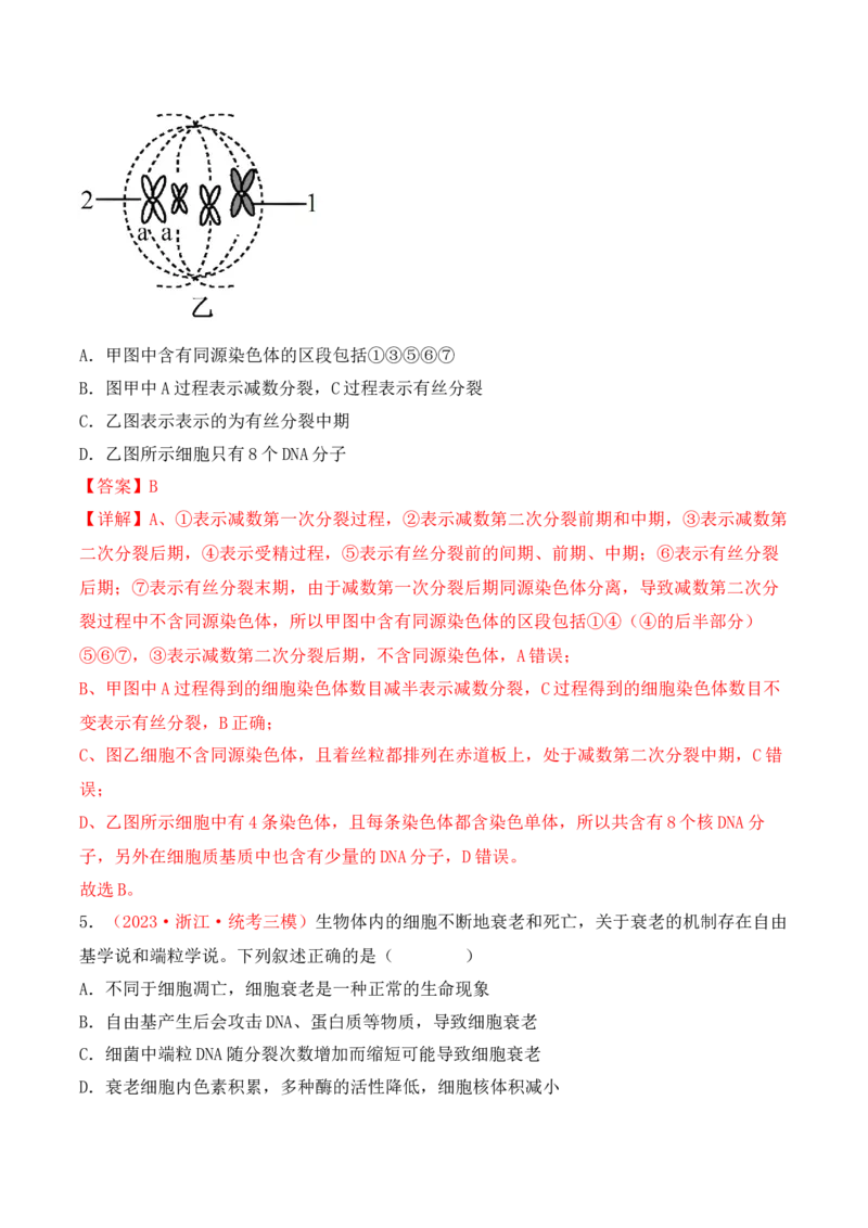 专题05细胞的生命历程（包括减数分裂）（解析版）_2024年新高考资料_3.2024专项复习_备战2024年高考生物一轮复习重难点突破讲解与训练（新教材）