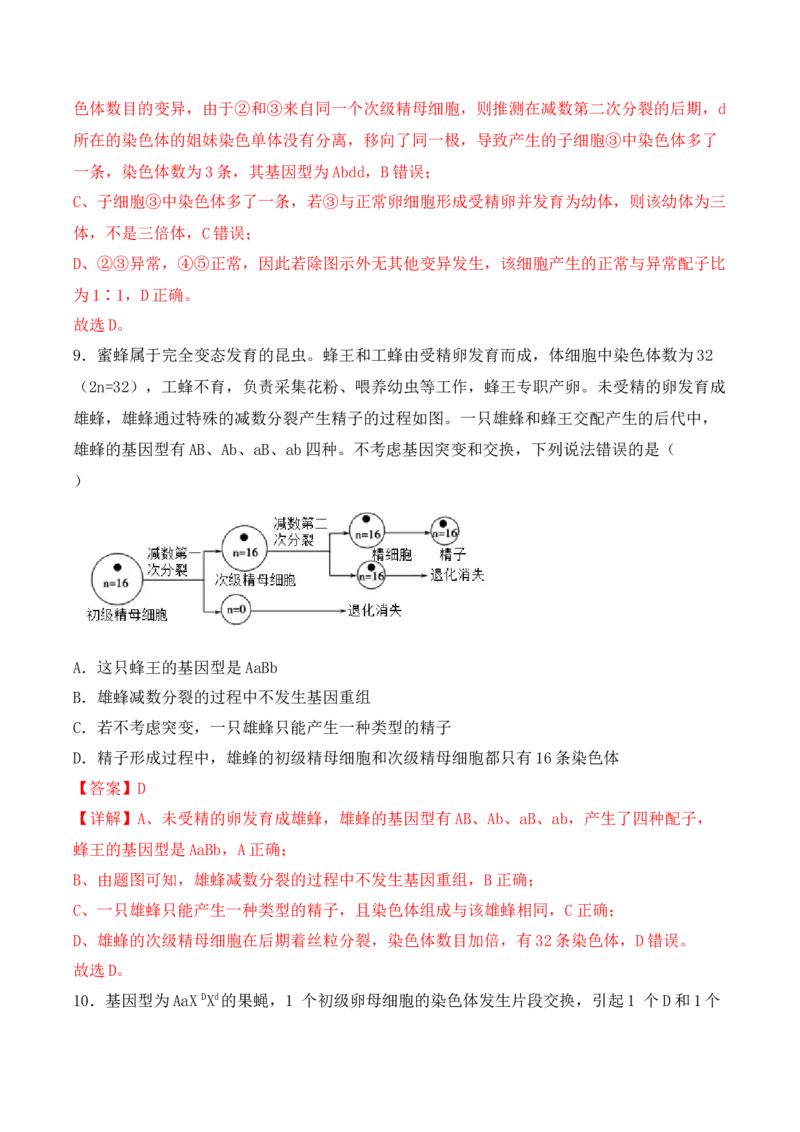 专题05细胞的生命历程（包括减数分裂）（解析版）_2024年新高考资料_3.2024专项复习_备战2024年高考生物一轮复习重难点突破讲解与训练（新教材）