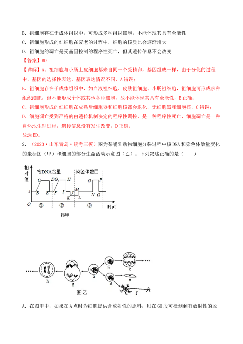 专题05细胞的生命历程（包括减数分裂）（解析版）_2024年新高考资料_3.2024专项复习_备战2024年高考生物一轮复习重难点突破讲解与训练（新教材）