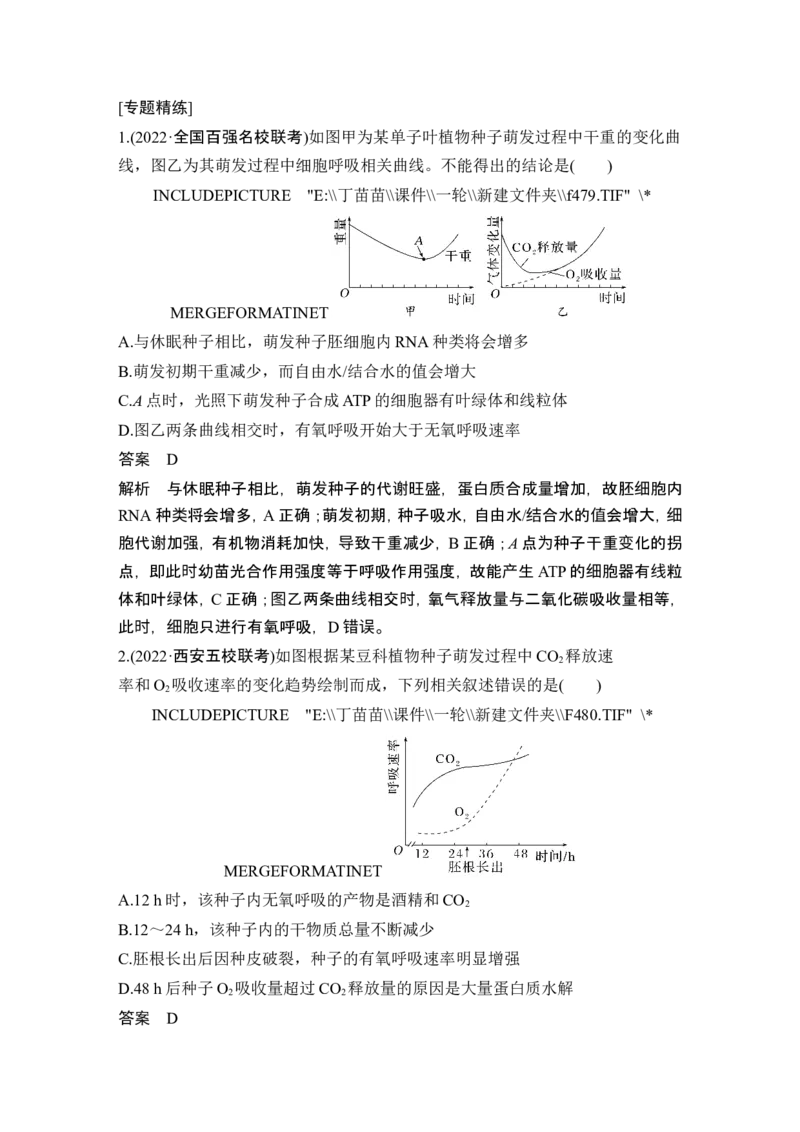 微专题2种子形成与萌发_2024年新高考资料_1.2024一轮复习_2024年高考生物一轮复习讲义（新人教版）_另附1套Word版题库_必修1_第三单元细胞的能量供应和利用