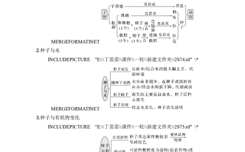 微专题2种子形成与萌发_2024年新高考资料_1.2024一轮复习_2024年高考生物一轮复习讲义（新人教版）_另附1套Word版题库_必修1_第三单元细胞的能量供应和利用