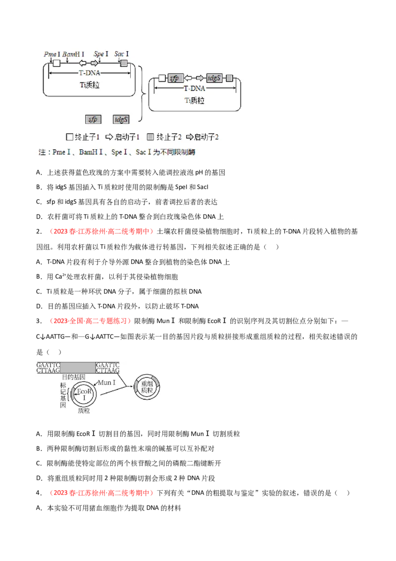 专题18基因工程（原卷版）_2024年新高考资料_3.2024专项复习_备战2024年高考生物一轮复习重难点突破讲解与训练（新教材）