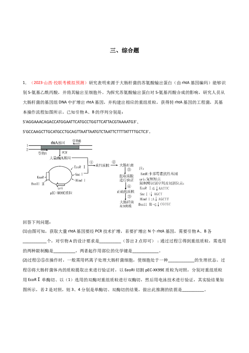 专题18基因工程（原卷版）_2024年新高考资料_3.2024专项复习_备战2024年高考生物一轮复习重难点突破讲解与训练（新教材）