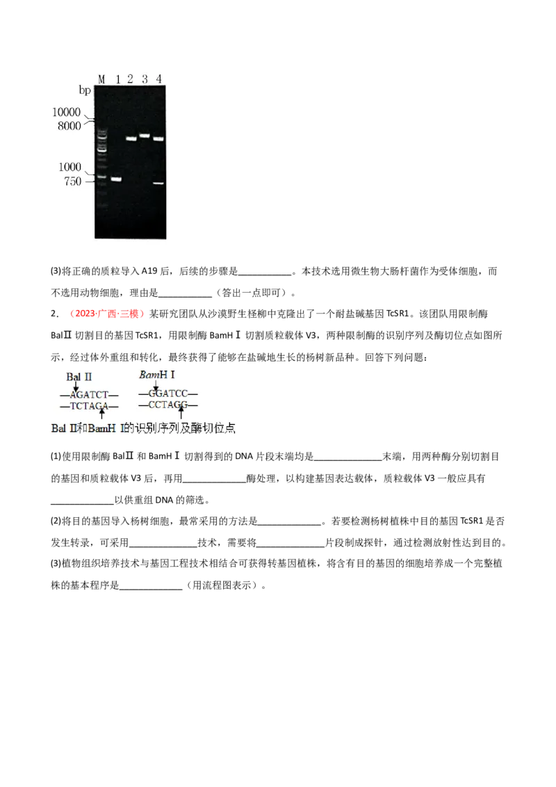 专题18基因工程（原卷版）_2024年新高考资料_3.2024专项复习_备战2024年高考生物一轮复习重难点突破讲解与训练（新教材）