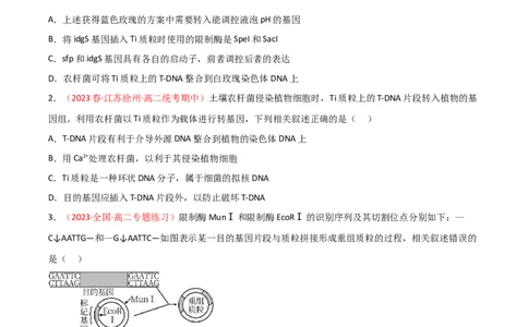 专题18基因工程（原卷版）_2024年新高考资料_3.2024专项复习_备战2024年高考生物一轮复习重难点突破讲解与训练（新教材）