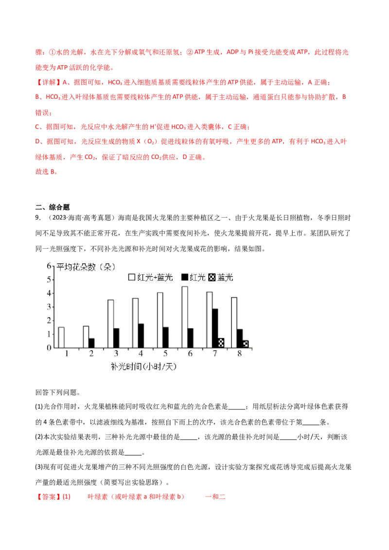 宝典05细胞呼吸和光合作用（解析版）_2024年新高考资料_1.2024一轮复习_2024年高考生物一轮复习知识清单