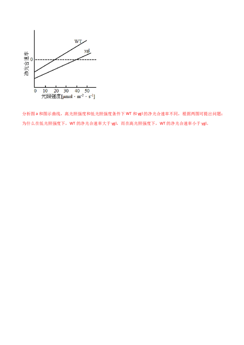 宝典05细胞呼吸和光合作用（解析版）_2024年新高考资料_1.2024一轮复习_2024年高考生物一轮复习知识清单