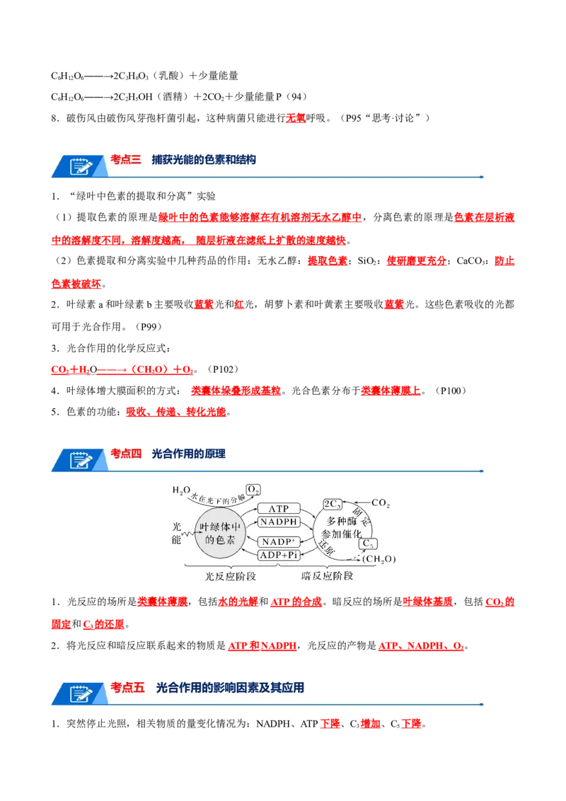 宝典05细胞呼吸和光合作用（解析版）_2024年新高考资料_1.2024一轮复习_2024年高考生物一轮复习知识清单