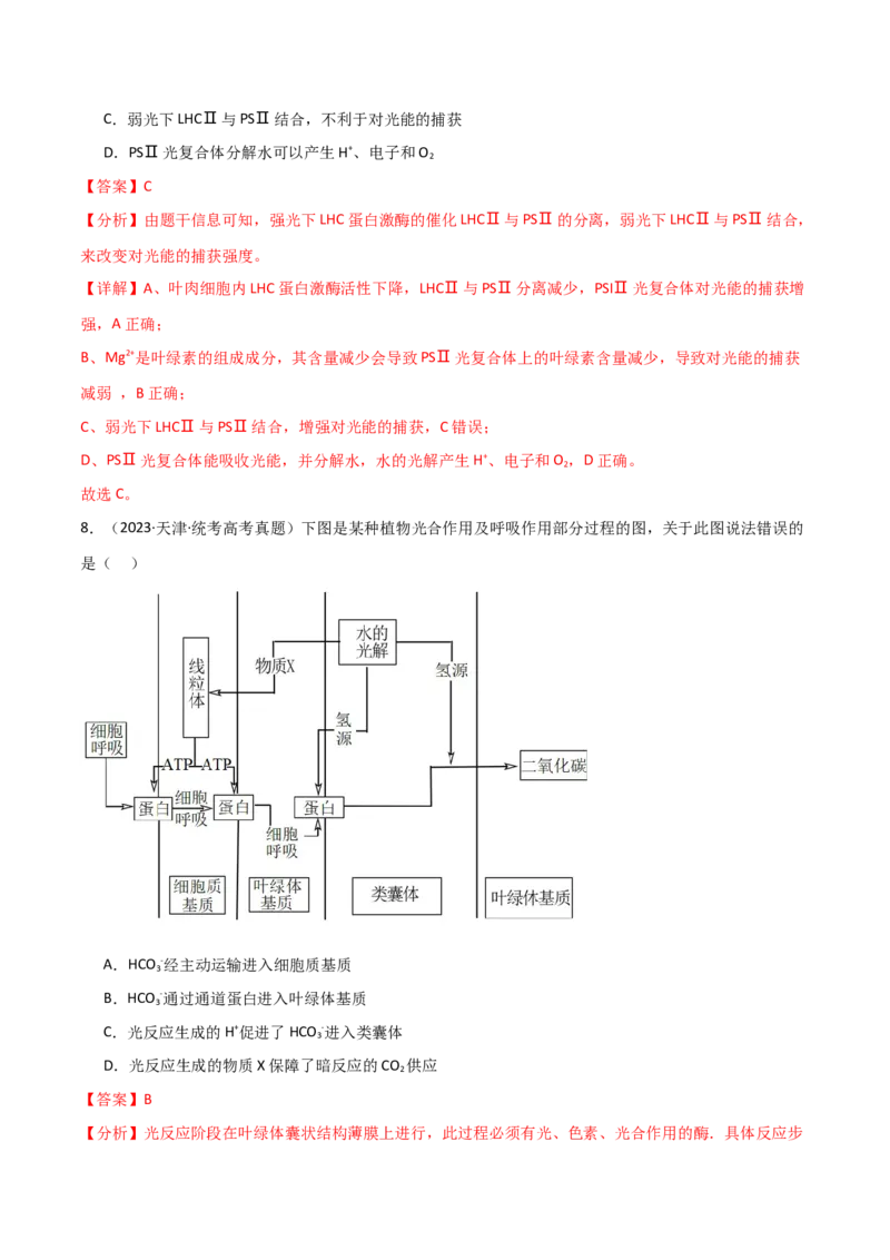宝典05细胞呼吸和光合作用（解析版）_2024年新高考资料_1.2024一轮复习_2024年高考生物一轮复习知识清单
