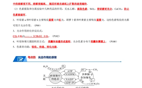 宝典05细胞呼吸和光合作用（解析版）_2024年新高考资料_1.2024一轮复习_2024年高考生物一轮复习知识清单