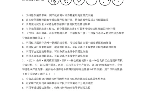 专题35微生物的培养技术及应用（精练）（原卷版）_2024年新高考资料_1.2024一轮复习_备战2024年高考生物一轮复习串讲精练（新高考专用）