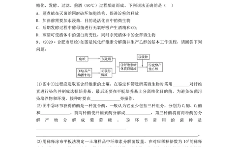 专题35微生物的培养技术及应用（精练）（原卷版）_2024年新高考资料_1.2024一轮复习_备战2024年高考生物一轮复习串讲精练（新高考专用）