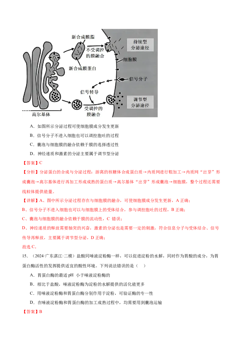 押广东卷选择题细胞的物质基础和结构基础（解析版）_2024年新高考资料_5.2024三轮冲刺_备战2024年高考生物临考题号押题（广东专用）323137816
